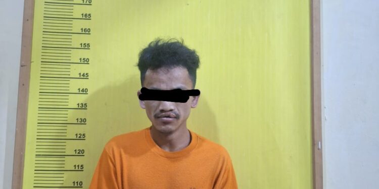 Polsek Tambusai Utara Tangkap Pelaku Pencurian dengan Kekerasan