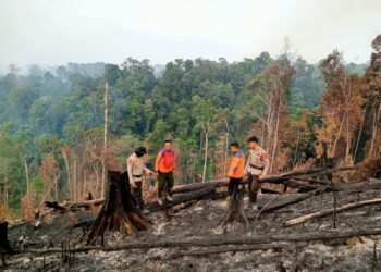 Kapolres Rokan Hulu Lakukan Verifikasi dan Pengecekan Karhutla di Desa Menaming, Lakukan Pendinginan dengan Menggunakan Water Bombing Helikopter