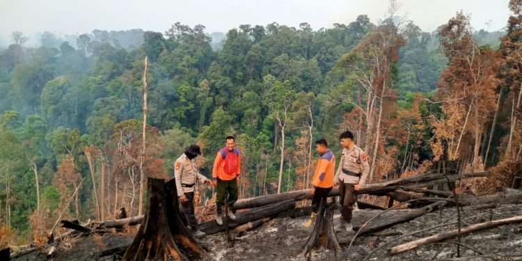 Kapolres Rokan Hulu Lakukan Verifikasi dan Pengecekan Karhutla di Desa Menaming, Lakukan Pendinginan dengan Menggunakan Water Bombing Helikopter