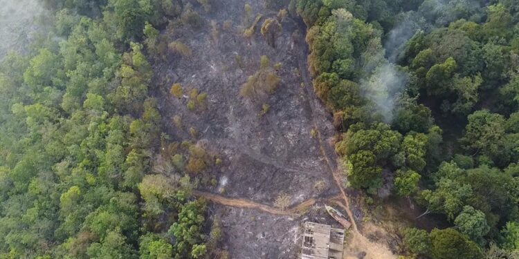 Kebakaran Hutan Bukit Anabawa , LPHD dan LSM Desak Penegakan Hukum
