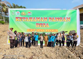 Dukung Ketahanan Pangan, Kapolsek Kunto Turun Langsung Tanam Jagung di Bukit Intan