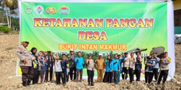 Dukung Ketahanan Pangan, Kapolsek Kunto Turun Langsung Tanam Jagung di Bukit Intan