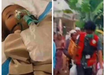 Soroti Kematian “Raya” Prof.Sutan Desak Presiden,Bentuk Satgas Kesehatan Di Seluruh Desa
