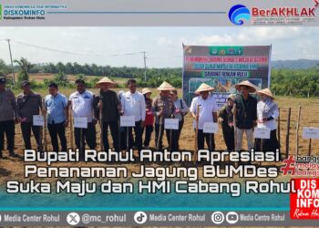 Penanaman Jagung BUMDes Suka Maju dan HMI Cabang Rokan Hulu, Bupati Anton Sampaikan Apresiasi