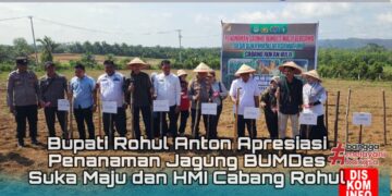 Penanaman Jagung BUMDes Suka Maju dan HMI Cabang Rokan Hulu, Bupati Anton Sampaikan Apresiasi