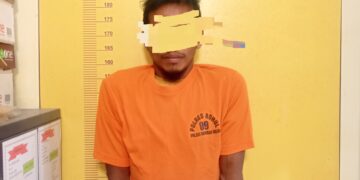 Tak Berkutik! Pencuri Sawit Rambah Hilir Ditangkap Bersama Barang Bukti