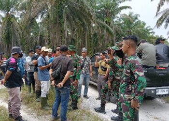 Diduga Mantan Anggota DPRD Rohul Jadi Perpanjangan Tangan Agrinas di Rantau Kasai