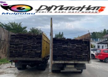 Penyergapan Dini Hari, Ditreskrimsus Polda Riau Amankan Kayu Tanpa Dokumen Sah