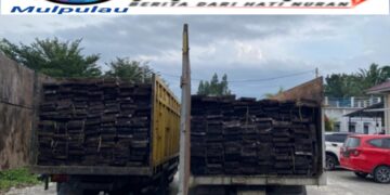 Penyergapan Dini Hari, Ditreskrimsus Polda Riau Amankan Kayu Tanpa Dokumen Sah