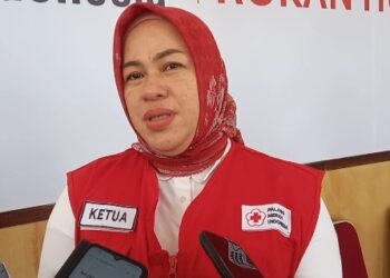 PMI Rohul Panggil Kepedulian Warga: Ayo Donor Darah Sekarang!