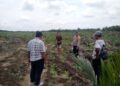 Polisi Cinta Petani, Polsek Kabun Perkuat Ketahanan Pangan Desa Kabun