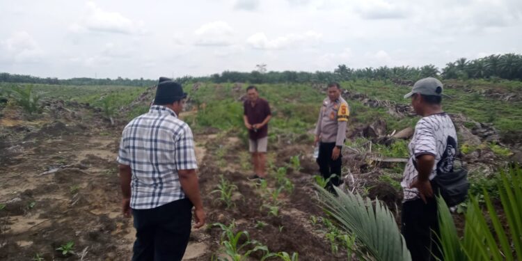 Polisi Cinta Petani, Polsek Kabun Perkuat Ketahanan Pangan Desa Kabun
