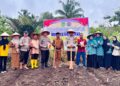 Polsek Kunto Darussalam Dukung Ketahanan Pangan, Tanam Jagung Pipil di Desa Pasir Luhur