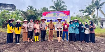 Polsek Kunto Darussalam Dukung Ketahanan Pangan, Tanam Jagung Pipil di Desa Pasir Luhur