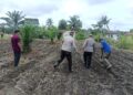 Dorong Swasembada Pangan, Polsek Kunto Darussalam Dampingi Petani di Pasir Luhur