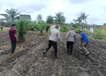 Dorong Swasembada Pangan, Polsek Kunto Darussalam Dampingi Petani di Pasir Luhur