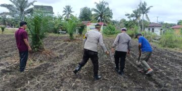Dorong Swasembada Pangan, Polsek Kunto Darussalam Dampingi Petani di Pasir Luhur
