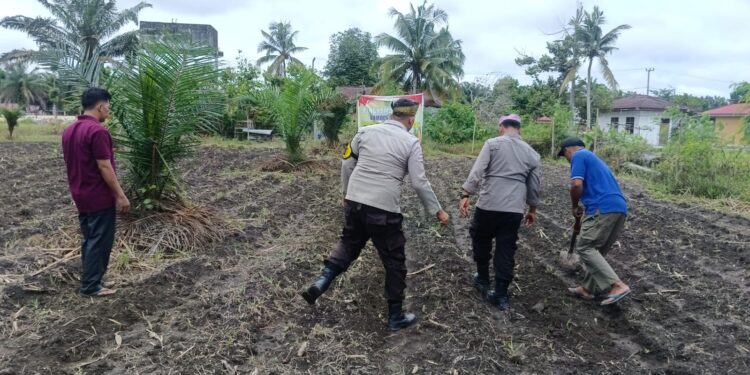 Dorong Swasembada Pangan, Polsek Kunto Darussalam Dampingi Petani di Pasir Luhur