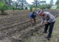 Perkuat Ketahanan Pangan, Polsek Kunto Darussalam Lakukan Pendampingan Petani di Pasir Luhur