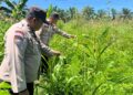 Polsek Kabun Optimalkan Polisi Cinta Petani dalam Mendukung Produksi Pangan