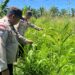 Polsek Kabun Optimalkan Polisi Cinta Petani dalam Mendukung Produksi Pangan