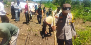 Polsek Rokan IV Koto Turun ke Desa Cipang Kiri Hilir Perkuat Ketahanan Pangan Nasional