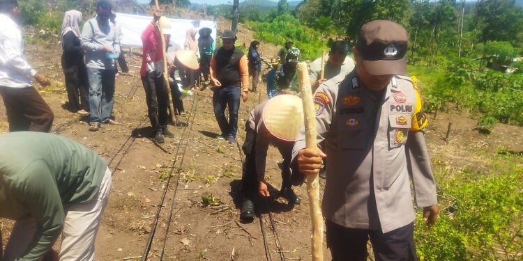 Polsek Rokan IV Koto Turun ke Desa Cipang Kiri Hilir Perkuat Ketahanan Pangan Nasional