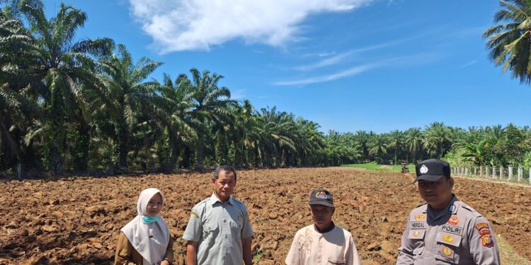 Gerak Polisi Cinta Petani Polsek Rambah Hilir di Balik Persiapan Lahan Jagung Rambah Muda
