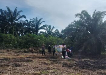Polsek Rokan IV Koto Perkuat Ketahanan Pangan Melalui Penanaman Jagung Kuartal II di Desa Lubuk Bendahara