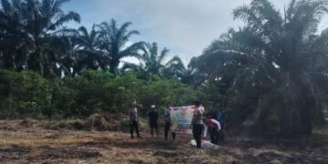 Polsek Rokan IV Koto Perkuat Ketahanan Pangan Melalui Penanaman Jagung Kuartal II di Desa Lubuk Bendahara