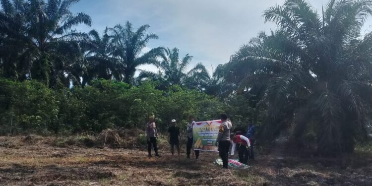 Polsek Rokan IV Koto Perkuat Ketahanan Pangan Melalui Penanaman Jagung Kuartal II di Desa Lubuk Bendahara