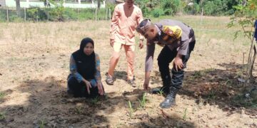 Polisi Cinta Petani, Polsek Rokan IV Koto Optimalkan Pendampingan dalam Penguatan Ketahanan Pangan Nasional di Desa Suligi