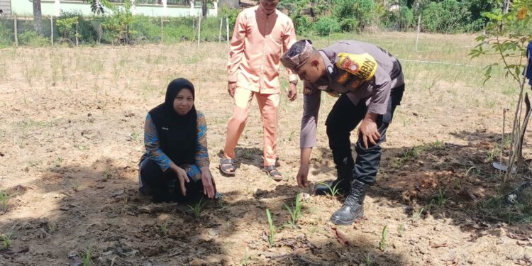 Polisi Cinta Petani, Polsek Rokan IV Koto Optimalkan Pendampingan dalam Penguatan Ketahanan Pangan Nasional di Desa Suligi