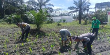 Kawal Produktivitas Pertanian, Polsek Kunto Darussalam Dukung Ketahanan Pangan Nasional dari Desa