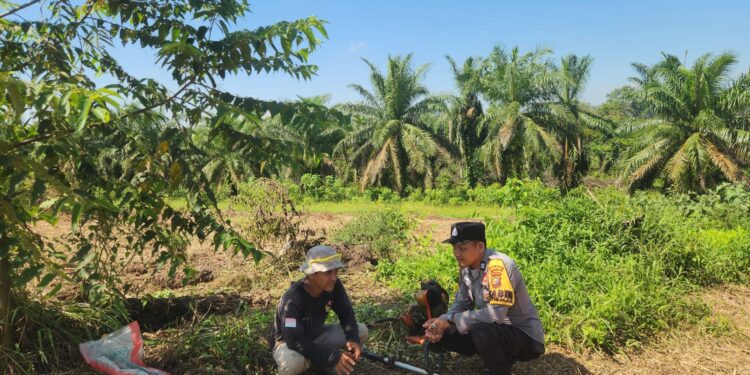 Polsek Kabun Kawal Progres Lahan Jagung Batulangkah Besar, Perkuat Implementasi Ketahanan Pangan Berbasis Desa
