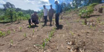 Polisi Cinta Petani, Polsek Rokan IV Koto Perkuat Kolaborasi Pemberdayaan Ekonomi dan Ketahanan Pangan di Desa Cipang Kiri Hilir