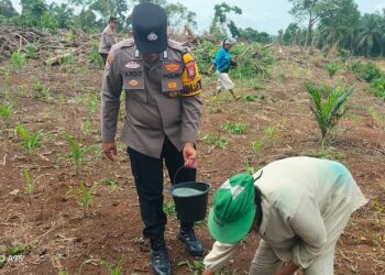 Polsek Tandun Intensif Kawal Budidaya Jagung Pipil, Dukung Percepatan Swasembada Pangan Nasional