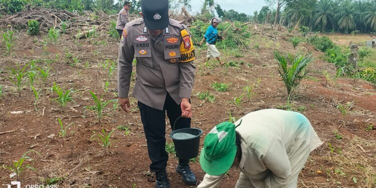Polsek Tandun Intensif Kawal Budidaya Jagung Pipil, Dukung Percepatan Swasembada Pangan Nasional