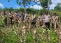 Polsek Rambah Monitoring Perkembangan Tanaman Jagung tang akan di Panen di Desa Kaiti dalam Rangka Swasembada Pangan