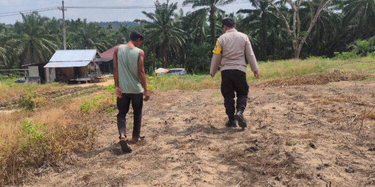 Polri Perkuat Ketersediaan Pangan Nasional, Polsek Rokan IV Koto Intensif Pantau Perkembangan Jagung Desa Lubuk Bendahara 