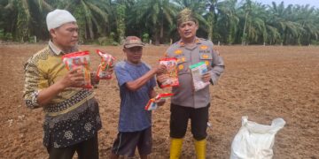 Polsek Rambah Hilir Perkuat Sektor Pertanian Lewat Pendampingan dan Monitoring, Dorong Swasembada Pangan Nasional