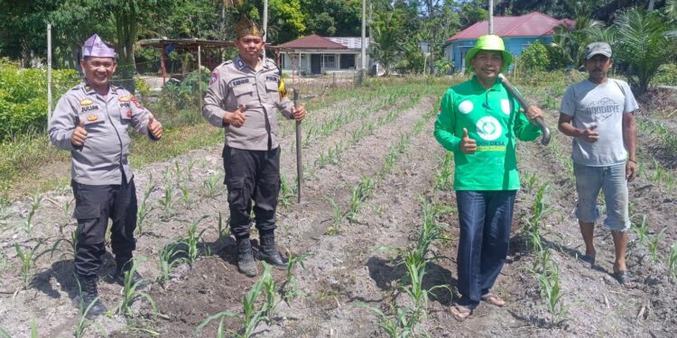 Polsek Kunto Darussalam Dorong Swasembada Pangan Melalui pendampingan di Desa Pasir Luhur