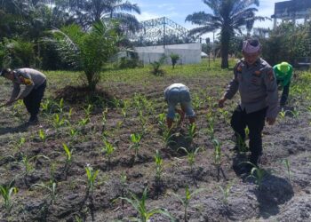 Polsek Kunto Darusalam Dukung Ketahanan Pangan Nasional Melalui Pengendalian Hama Dan Pengelolaan Irigarasi Pertanian di Desa Pasir Luhur