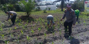 Polsek Kunto Darusalam Dukung Ketahanan Pangan Nasional Melalui Pengendalian Hama Dan Pengelolaan Irigarasi Pertanian di Desa Pasir Luhur