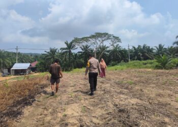 Antisipasi Cuaca Ekstrem, Polsek Rokan IV Koto Pastikan Lahan Jagung Lubuk Bendahara Tetap Produktif Menuju Swasembada Pangan Nasional