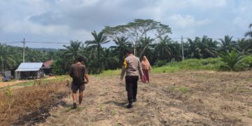 Antisipasi Cuaca Ekstrem, Polsek Rokan IV Koto Pastikan Lahan Jagung Lubuk Bendahara Tetap Produktif Menuju Swasembada Pangan Nasional