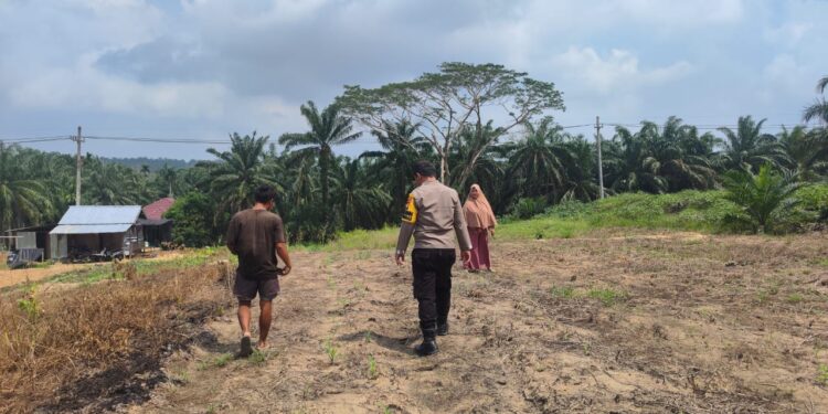 Antisipasi Cuaca Ekstrem, Polsek Rokan IV Koto Pastikan Lahan Jagung Lubuk Bendahara Tetap Produktif Menuju Swasembada Pangan Nasional