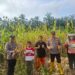 Kawal Panen hingga Penjualan, Polsek Rambah Hilir Pastikan Hasil Jagung Petani Terserap Optimal dukung Ketahanan Pangan Nasional 