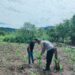 Polsek Rokan IV Koto Dukung Ketahanan Pangan Nasional Melalui Penguatan Pertanian Modern dan Smart Farming