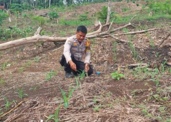 Polsek Rokan IV Koto Perkuat Kelembagaan Petani Desa Cipang Kiri Hilir Menuju Swasembada Pangan Nasional